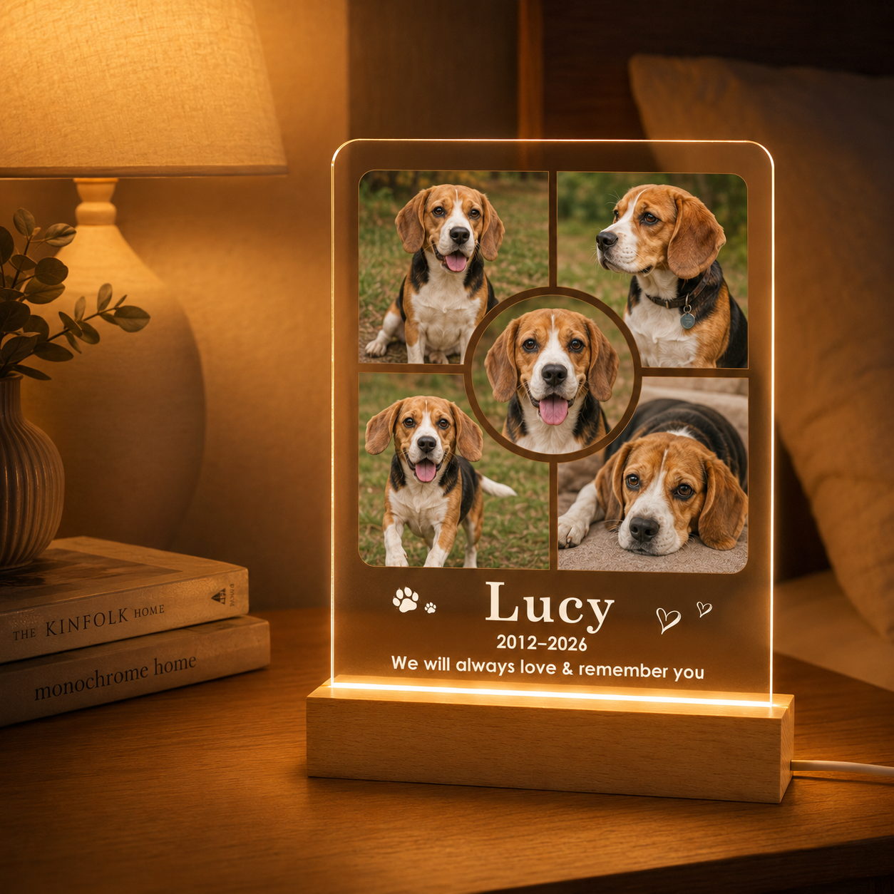 Custom Photo Dog Remember You Wooden LED Light | Personalized Dog Photo LED Night Light | Pet Loss Sympathy Gift TOM99