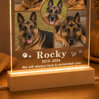 Custom Photo Dog Remember You Wooden LED Light | Personalized Dog Photo LED Night Light | Pet Loss Sympathy Gift TOM99