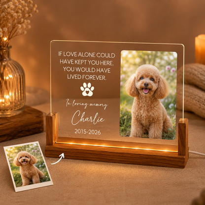 Custom Photo Dog In Loving Memories Wooden LED Light | Personalized Dog Photo LED Night Light | Pet Loss Sympathy Gift TOM99