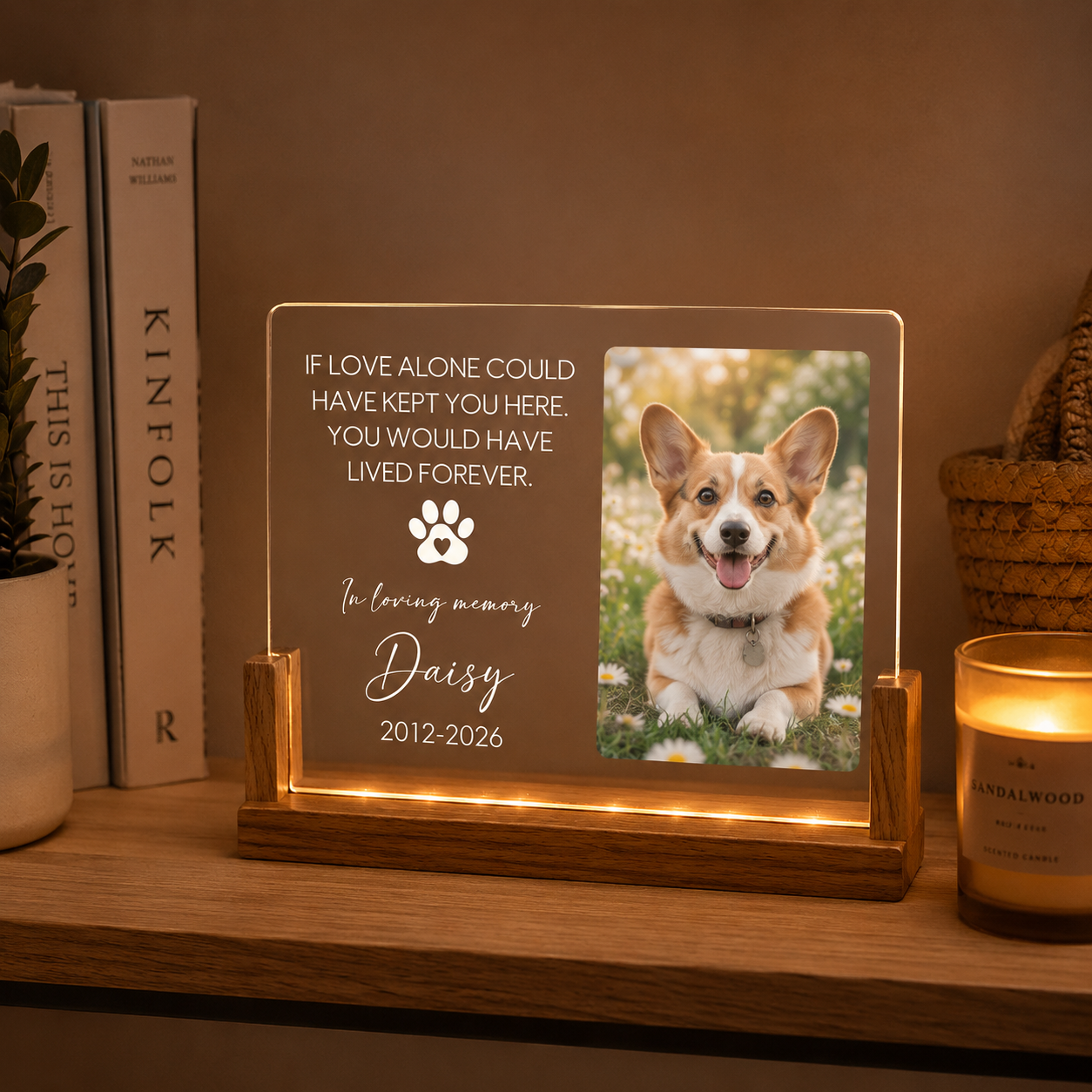 Custom Photo Dog In Loving Memories Wooden LED Light | Personalized Dog Photo LED Night Light | Pet Loss Sympathy Gift TOM99