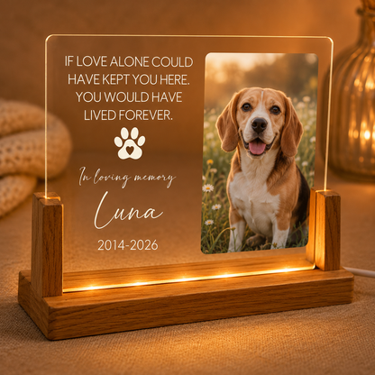 Custom Photo Dog In Loving Memories Wooden LED Light | Personalized Dog Photo LED Night Light | Pet Loss Sympathy Gift TOM99