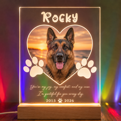 Custom Photo Dog Forever In My Heart Wooden LED Light | Personalized Dog Photo LED Night Light | Pet Loss Sympathy Gift TOM99