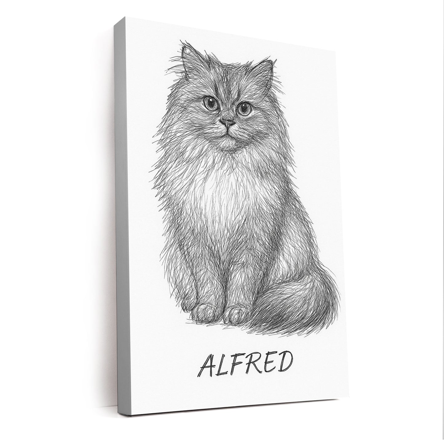 Custom Photo Cat Pencil Art
