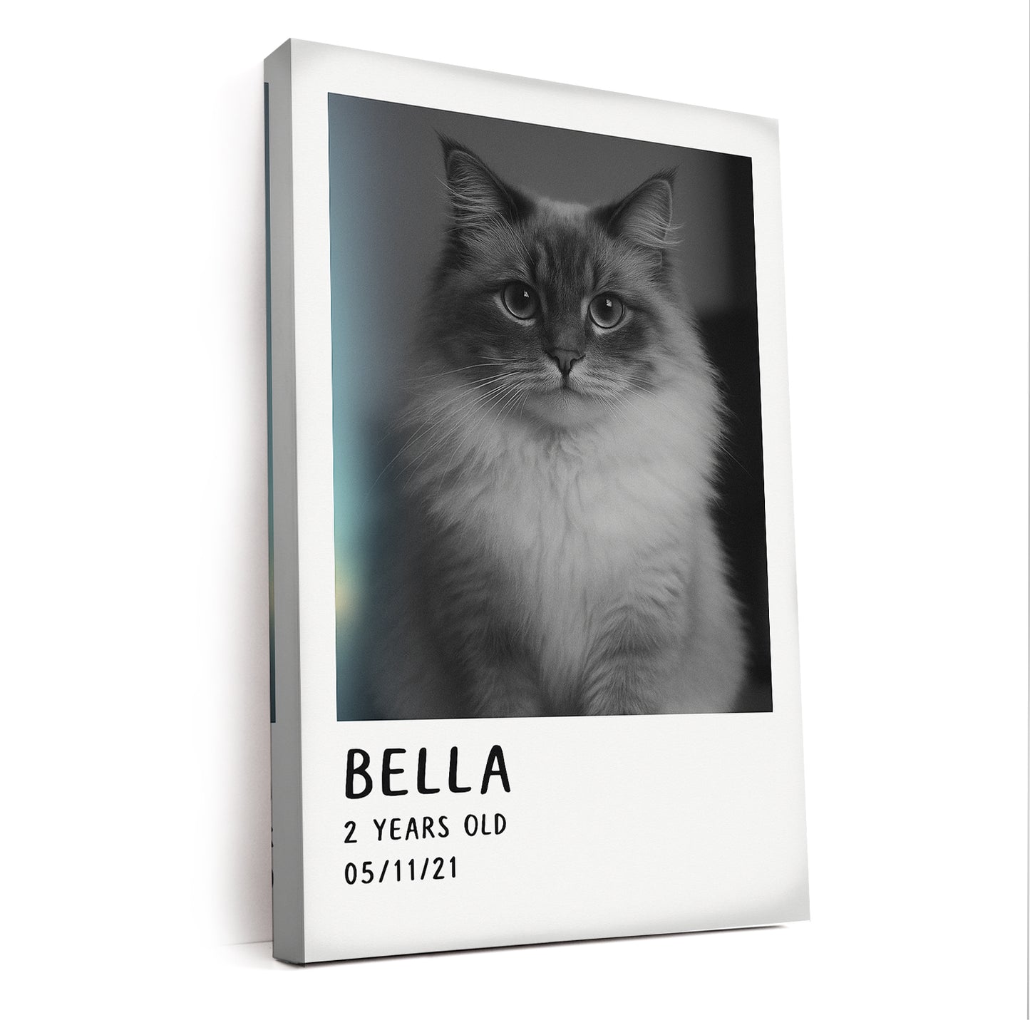 Custom Photo Polaroid Film Canvas Gift For Cat Lovers
