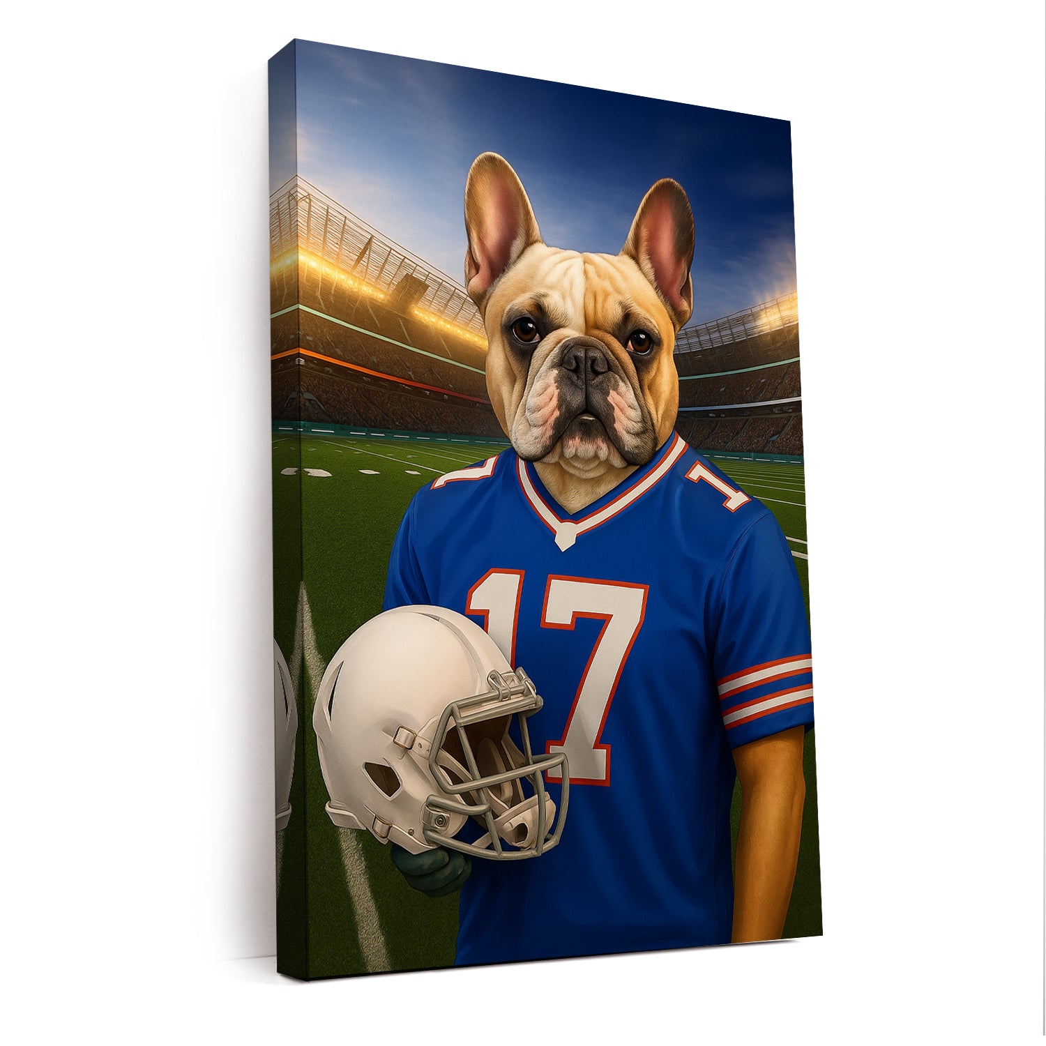 Custom Dog Photo Football Style Canvas _ Gift For Dog Lovers