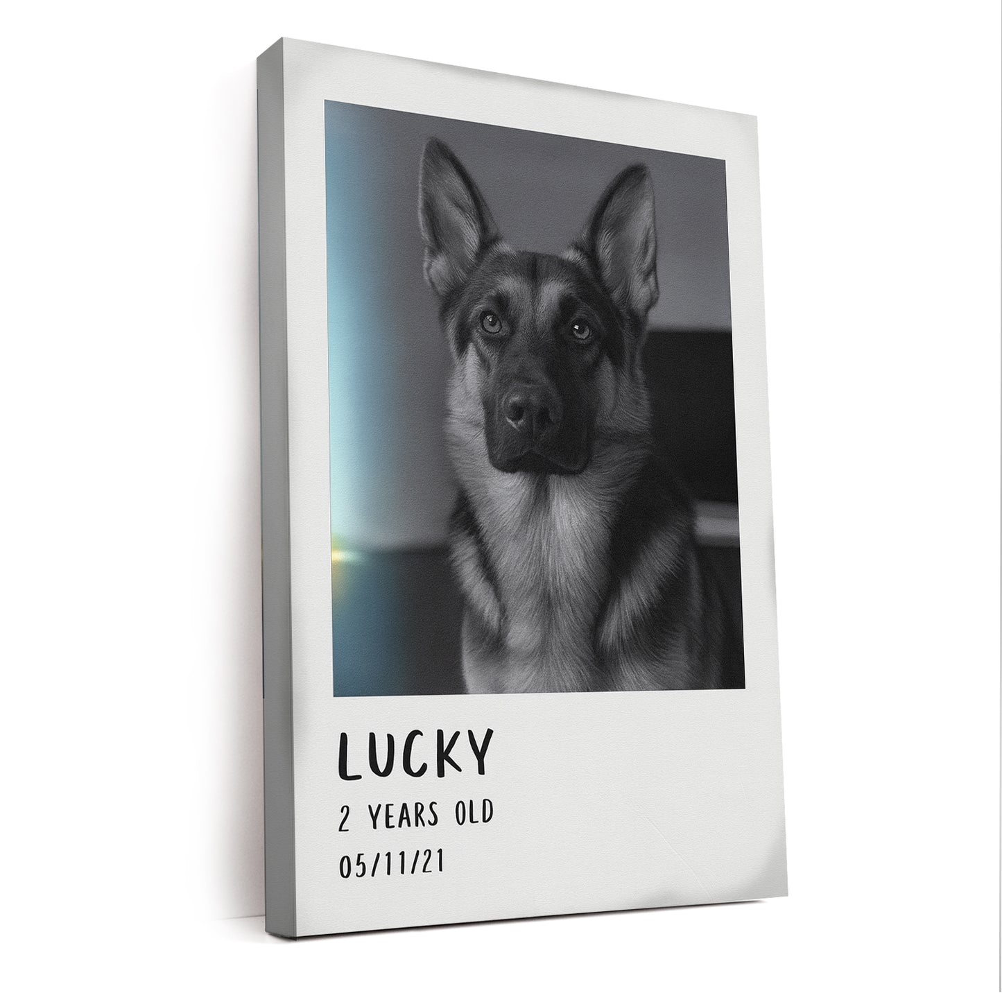 Custom Photo Polaroid Film Canvas Gift For Dog Lovers