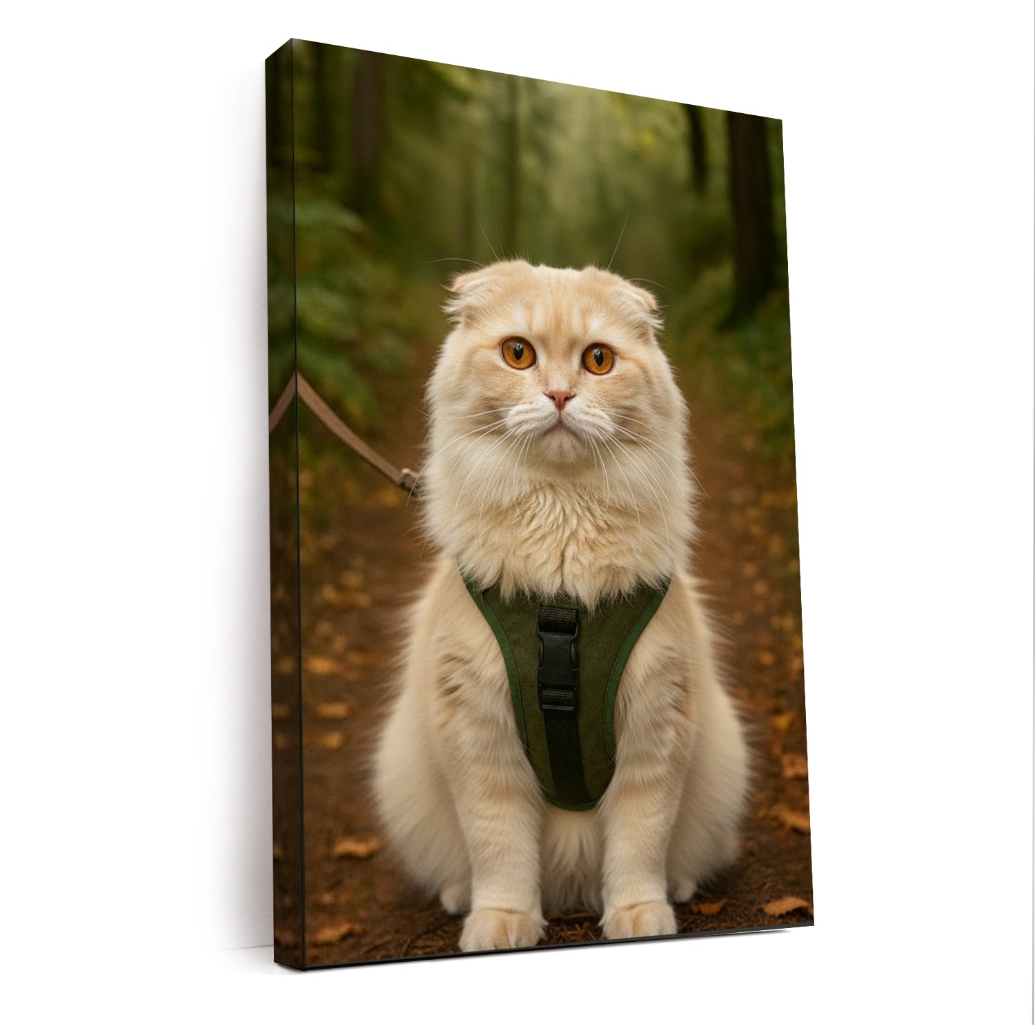 Custom Photo Hiking Canvas Canvas Gift For Canvas Lovers