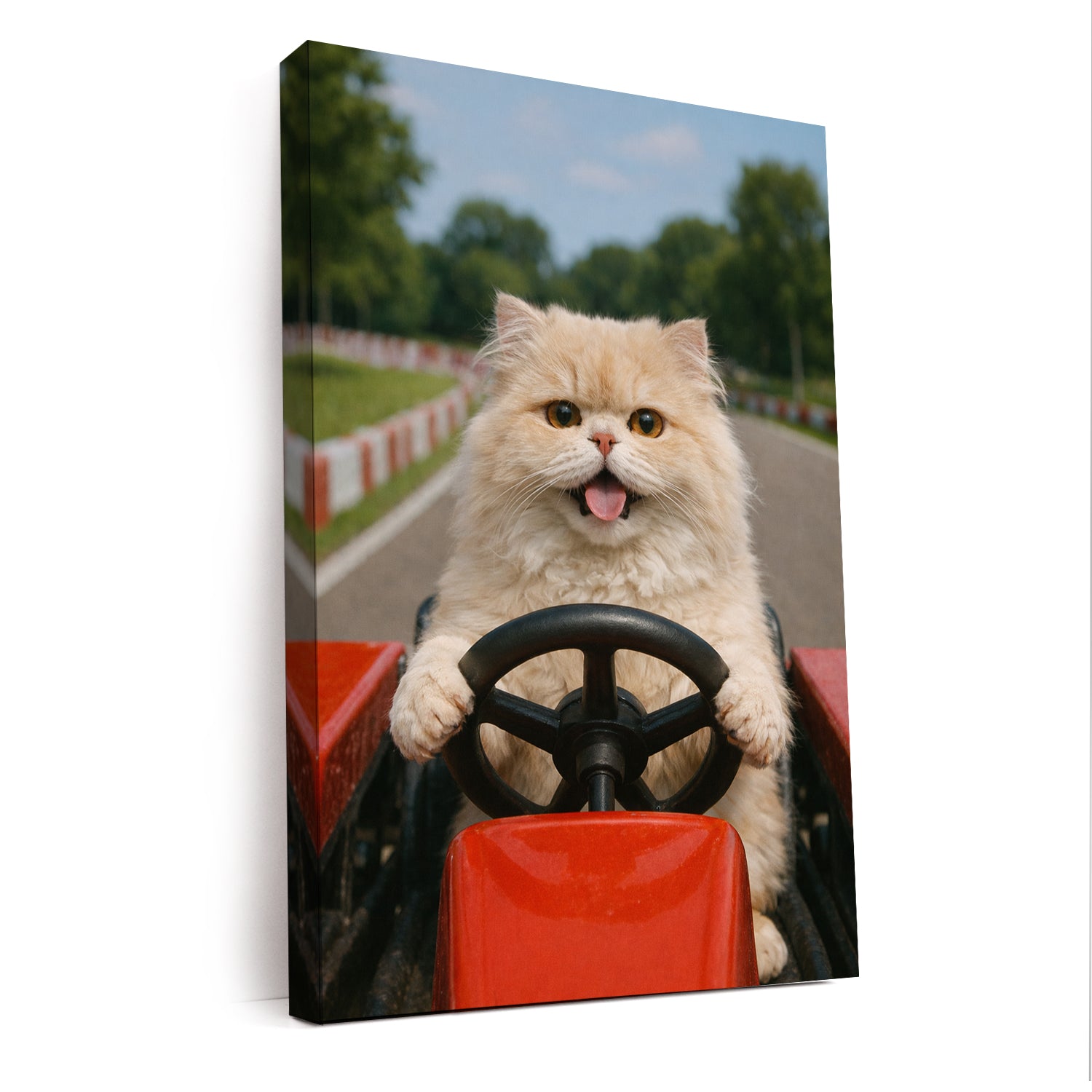 Custom Photo Canvas Go Kart Canvas Gift For Canvas Lovers