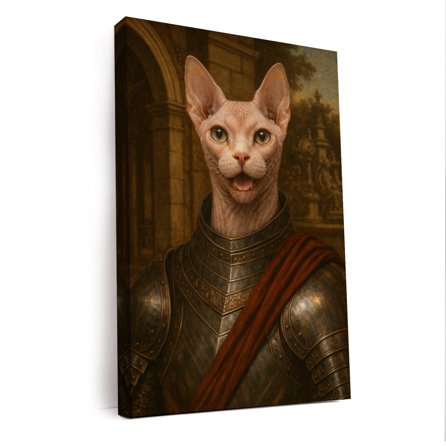 Custom Photo Cat Knight Canvas Gift For Cat Lovers