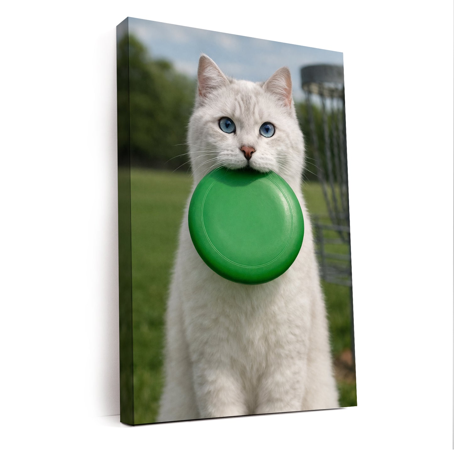 Custom Photo Disc Golf Canvas Canvas Gift For Canvas Lovers