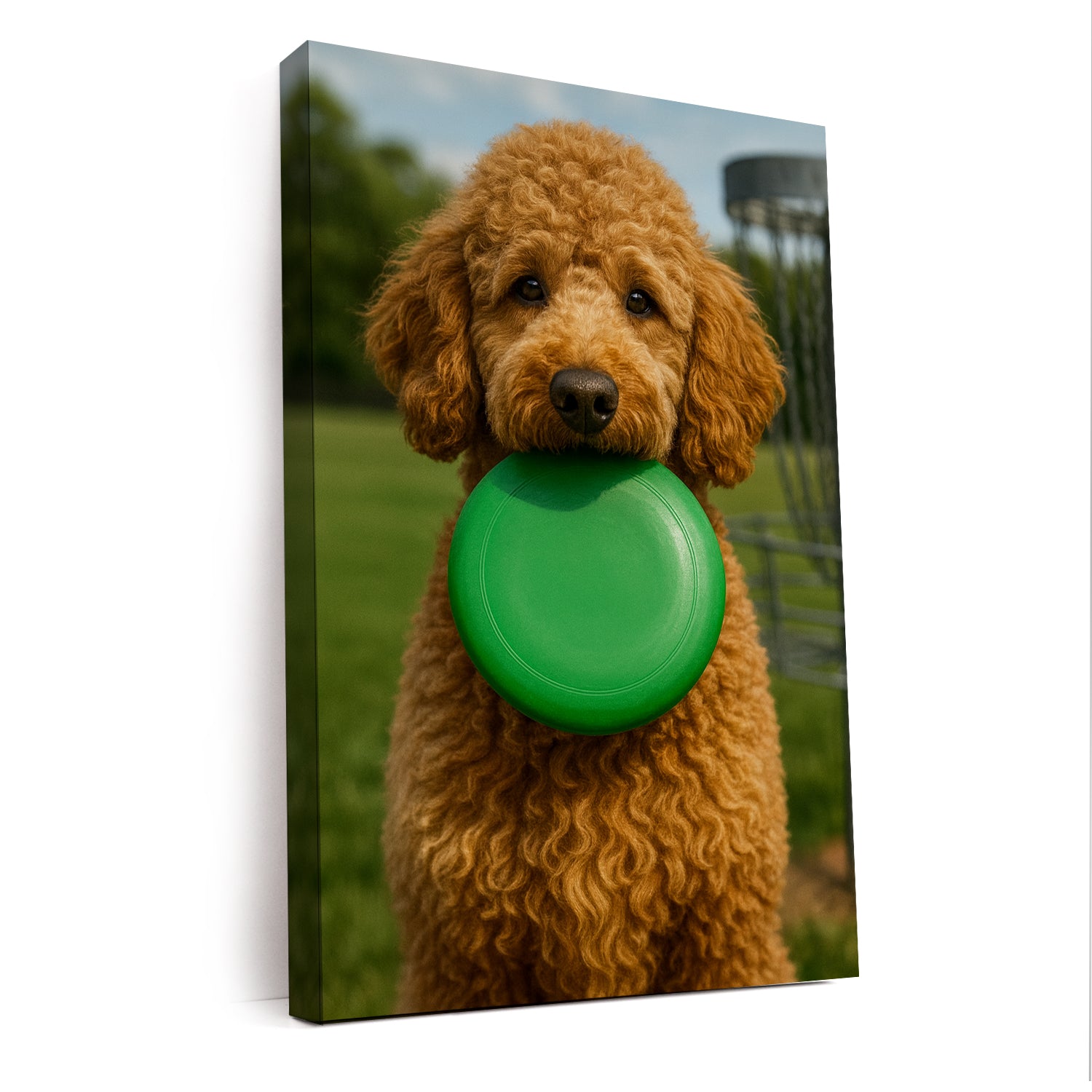 Custom Photo Disc Golf Dog Canvas Gift For Dog Lovers