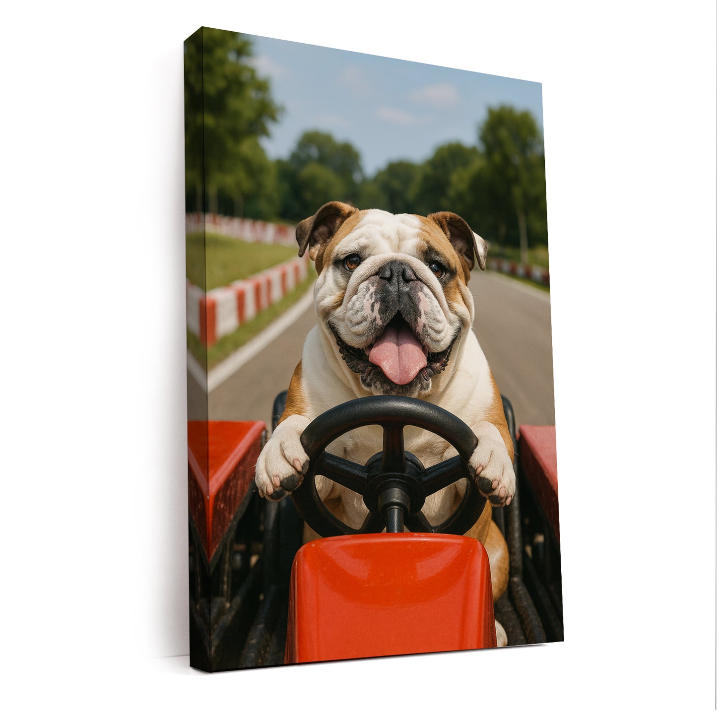 Custom Photo Dog Go Kart Canvas Gift For Dog Lovers