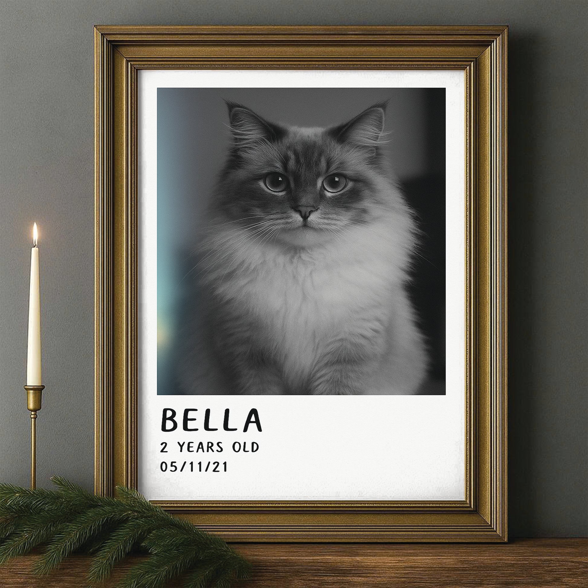 Custom Photo Polaroid Film Canvas Framed Wall Art Gift For Cat Lovers