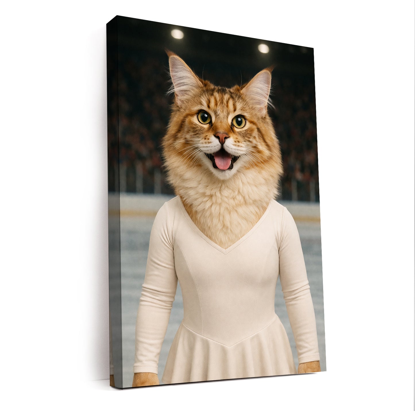 Custom Photo Ice Skater Canvas Canvas Gift For Canvas Lovers