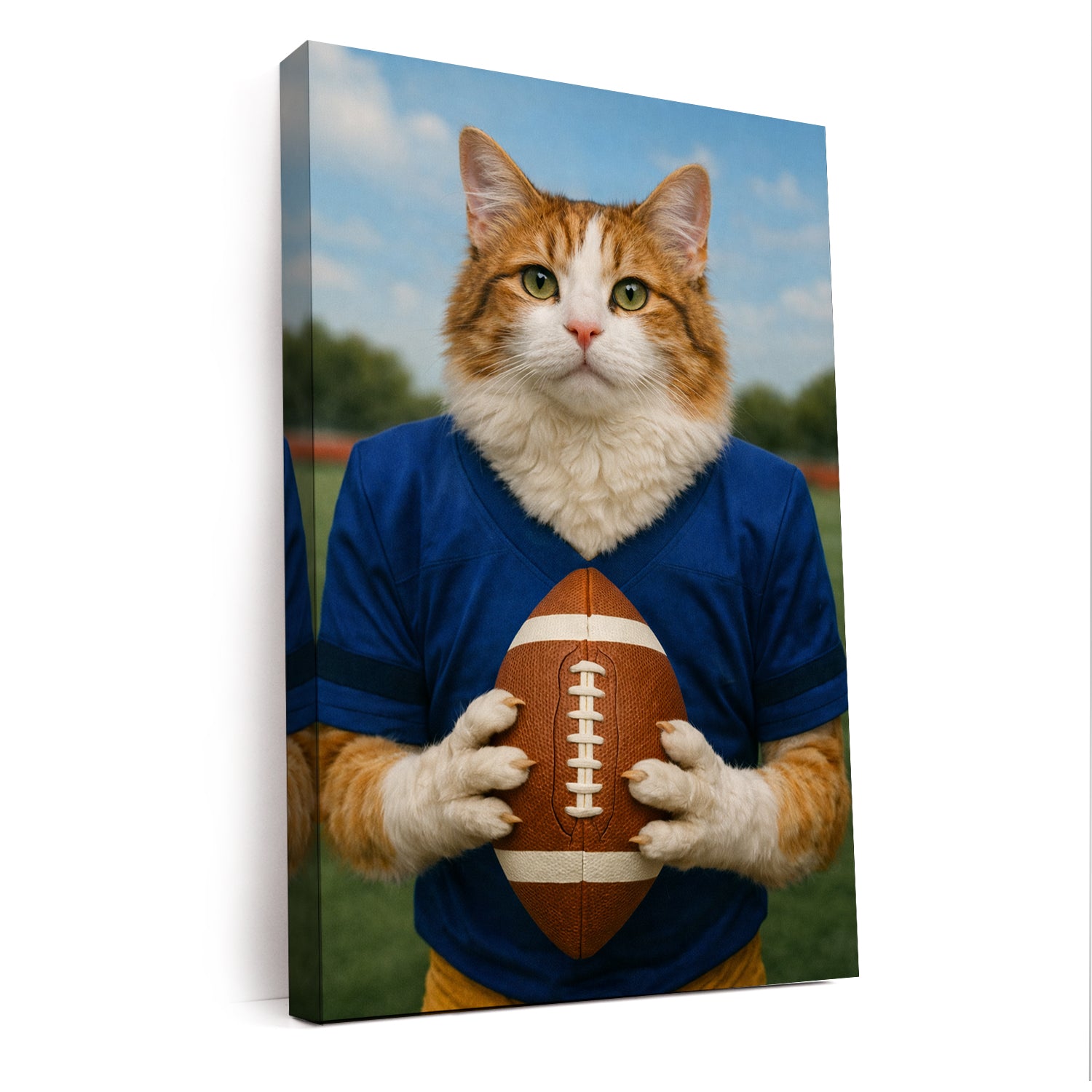 Custom Photo Football Player Canvas Canvas Gift For Canvas Lovers