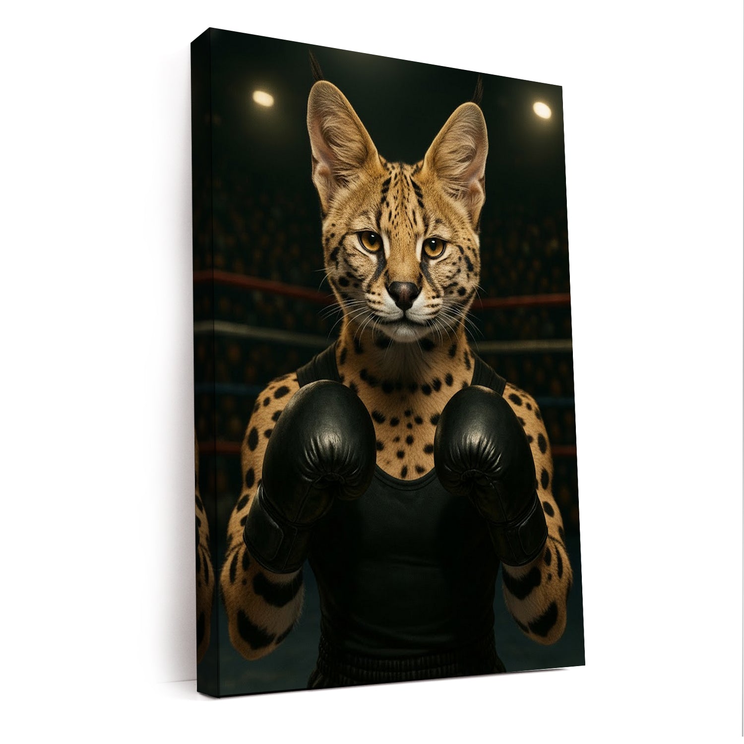 Custom Photo Boxing Cat Canvas Gift For Cat Lovers