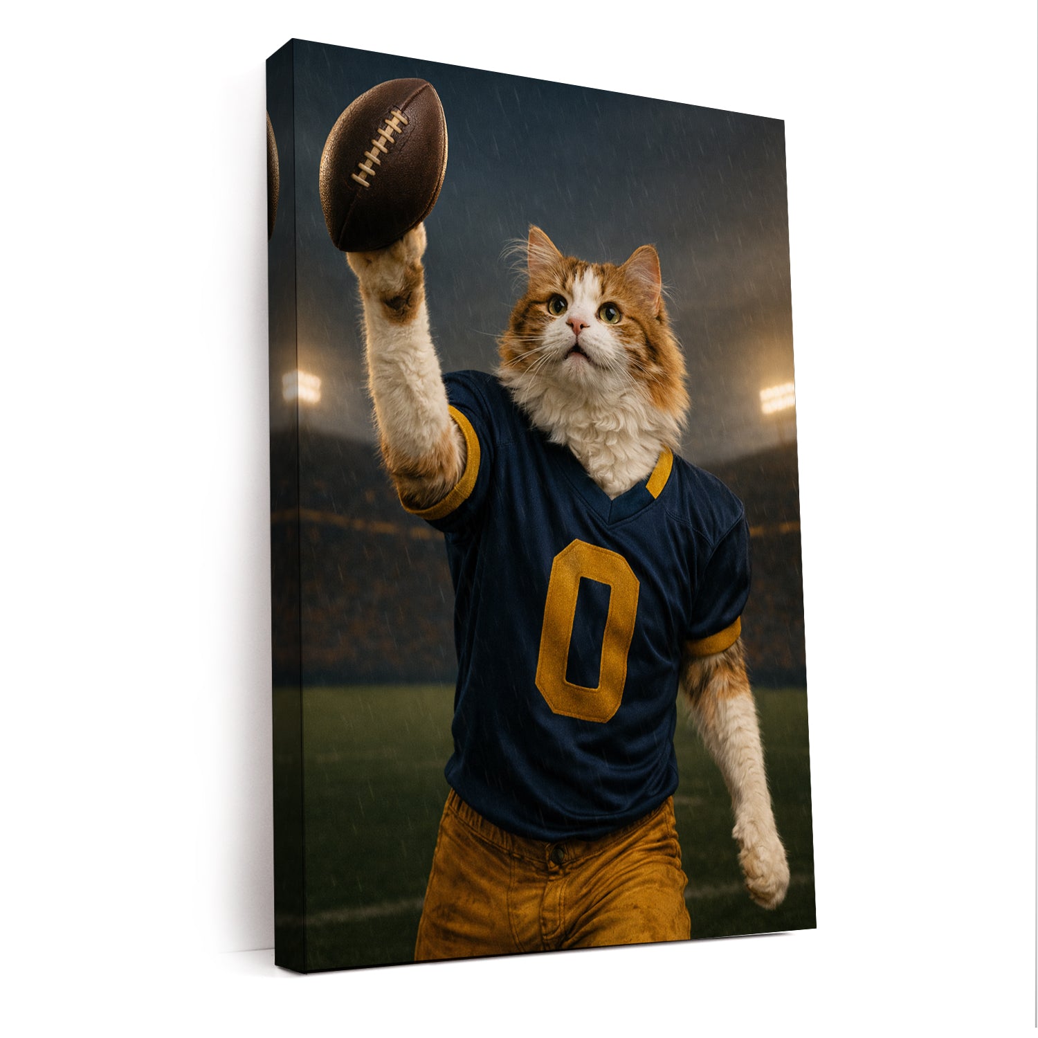 Custom Photo Football Player Canvas Gift For Canvas Lovers