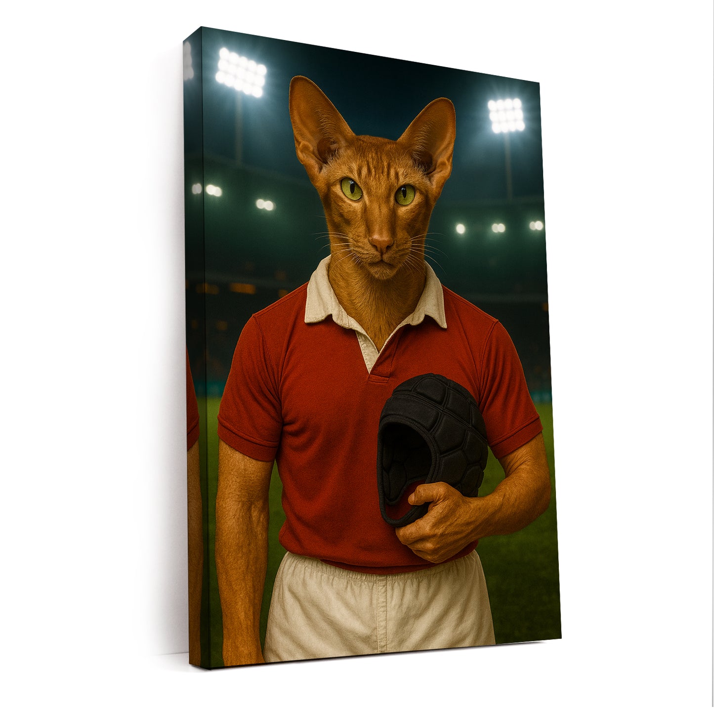 Custom Photo Rugby Player 2 Cat Canvas Gift For Cat Lovers