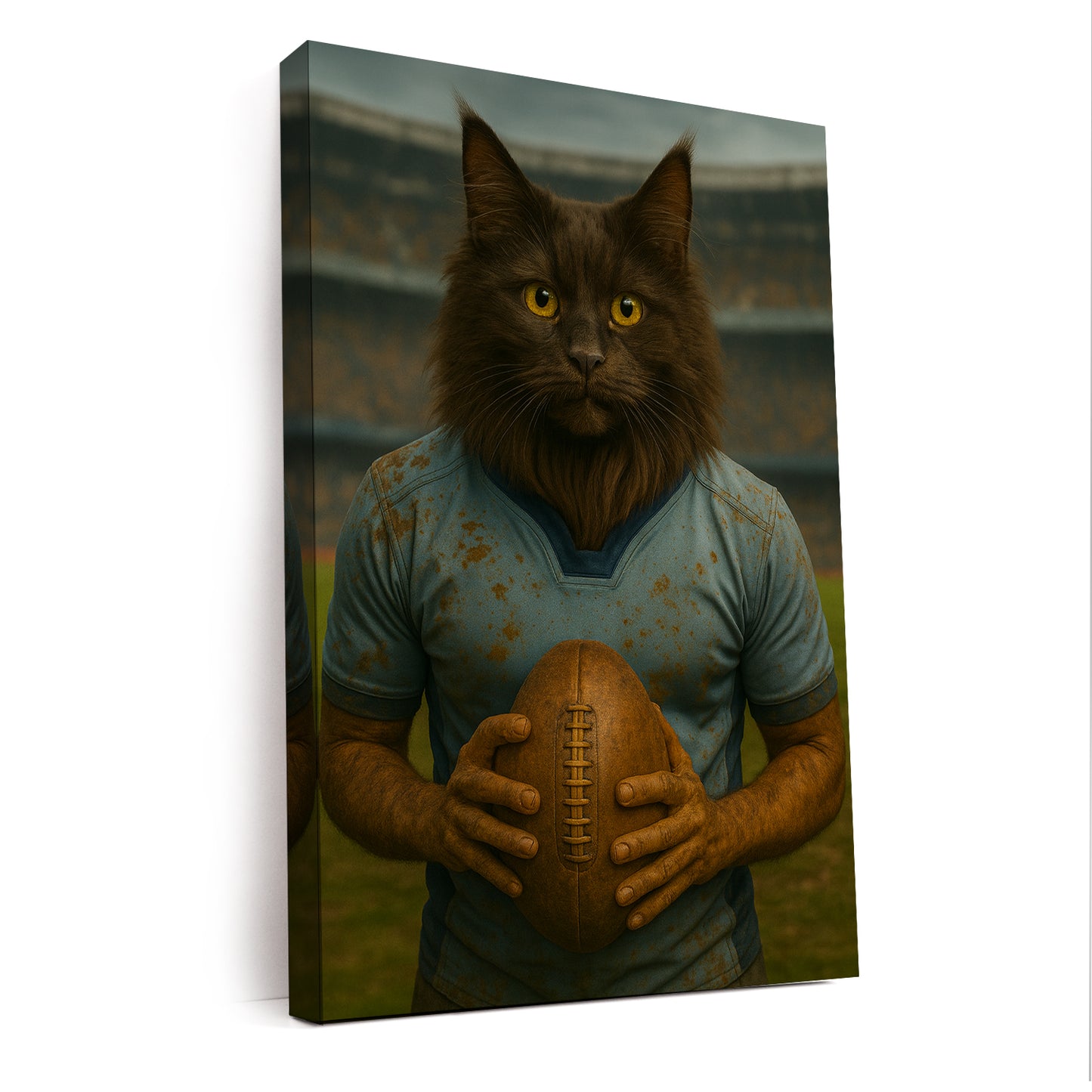 Custom Photo Rugby Cat Canvas Gift For Cat Lovers