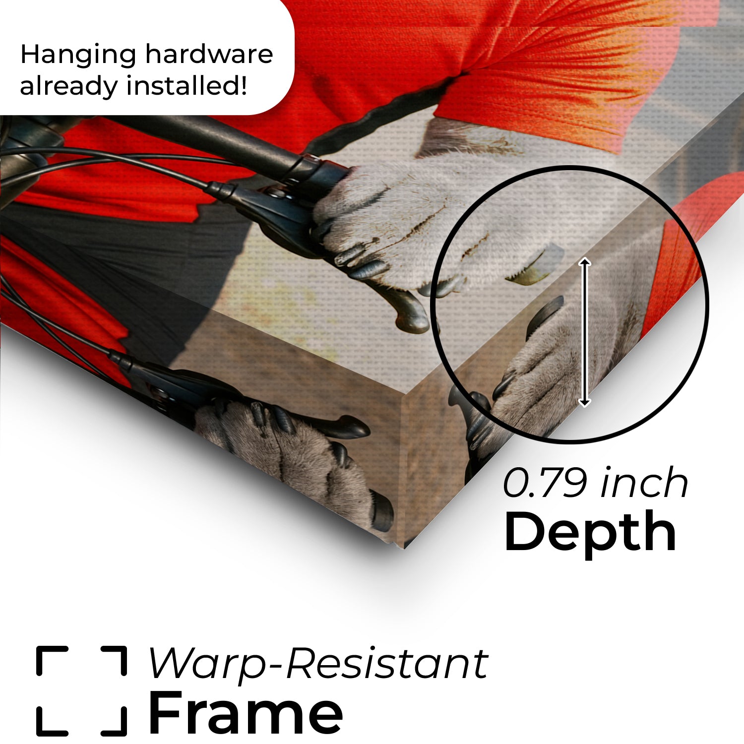 Custom Photo Cyclist Dart Bike Cat Canvas Gift For Cat Lovers