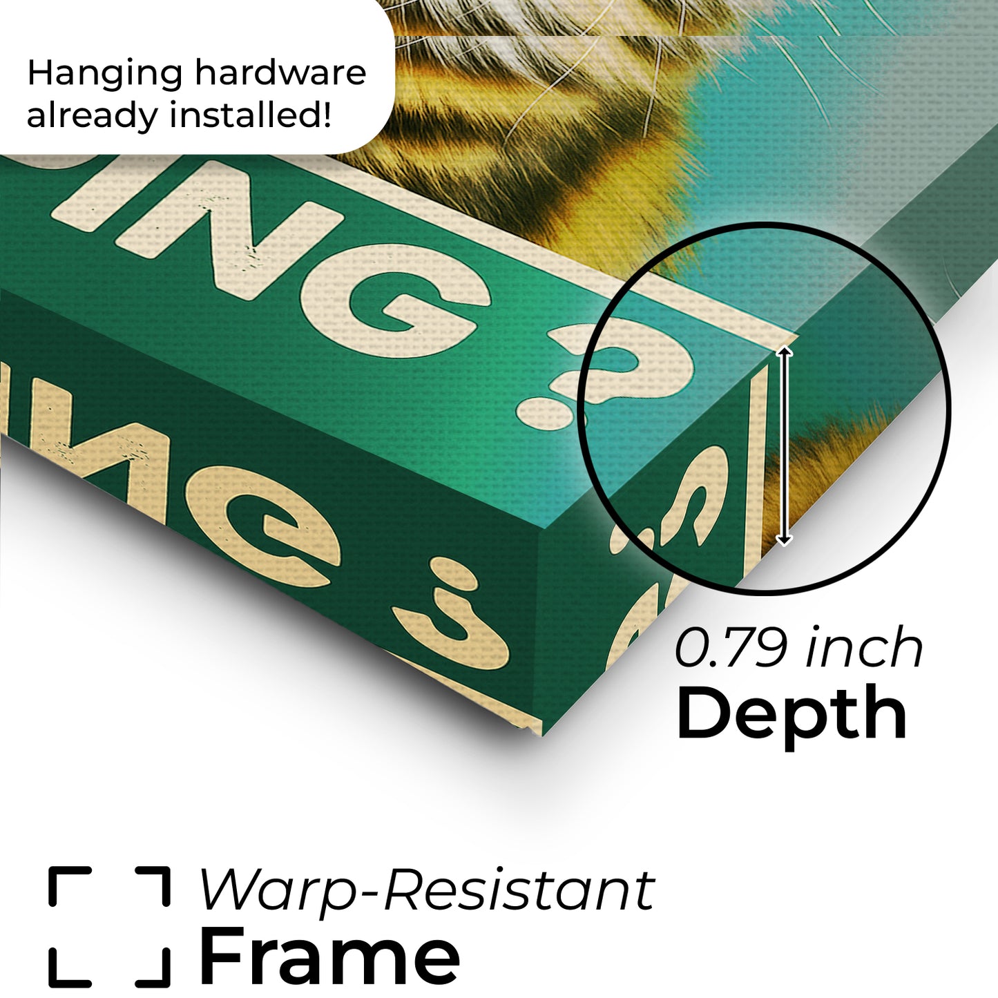 Custom Photo Funny Cat In Bathroom Canvas