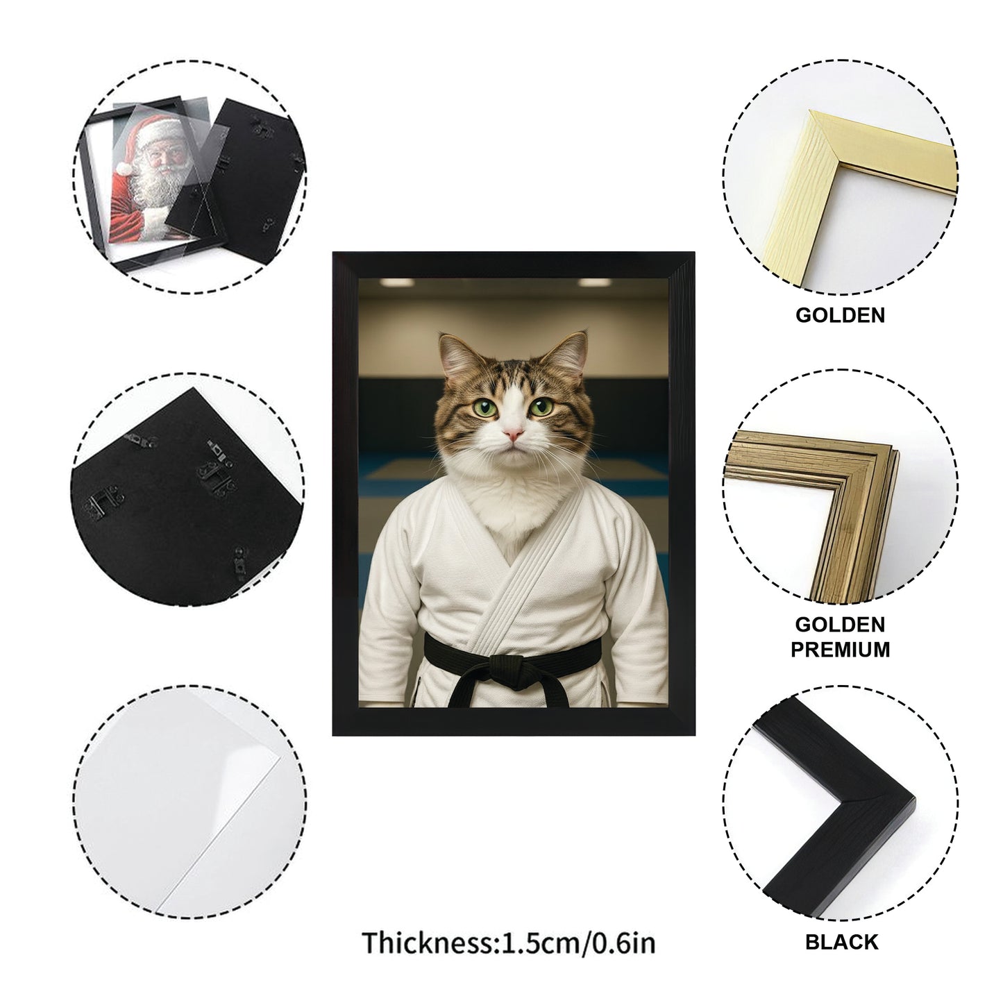 Custom Photo Jiu Jitsu Cat Canvas Framed Wall Art  Gift For Cat Lovers