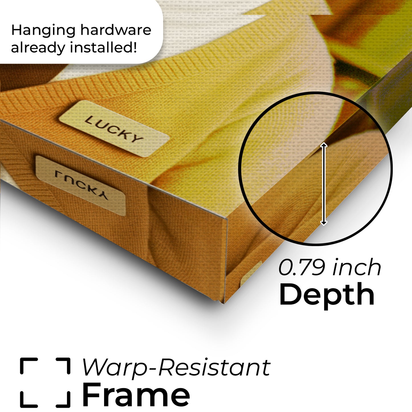 Custom Photo Librarian Book Lover Cat Canvas Gift For Cat Lovers