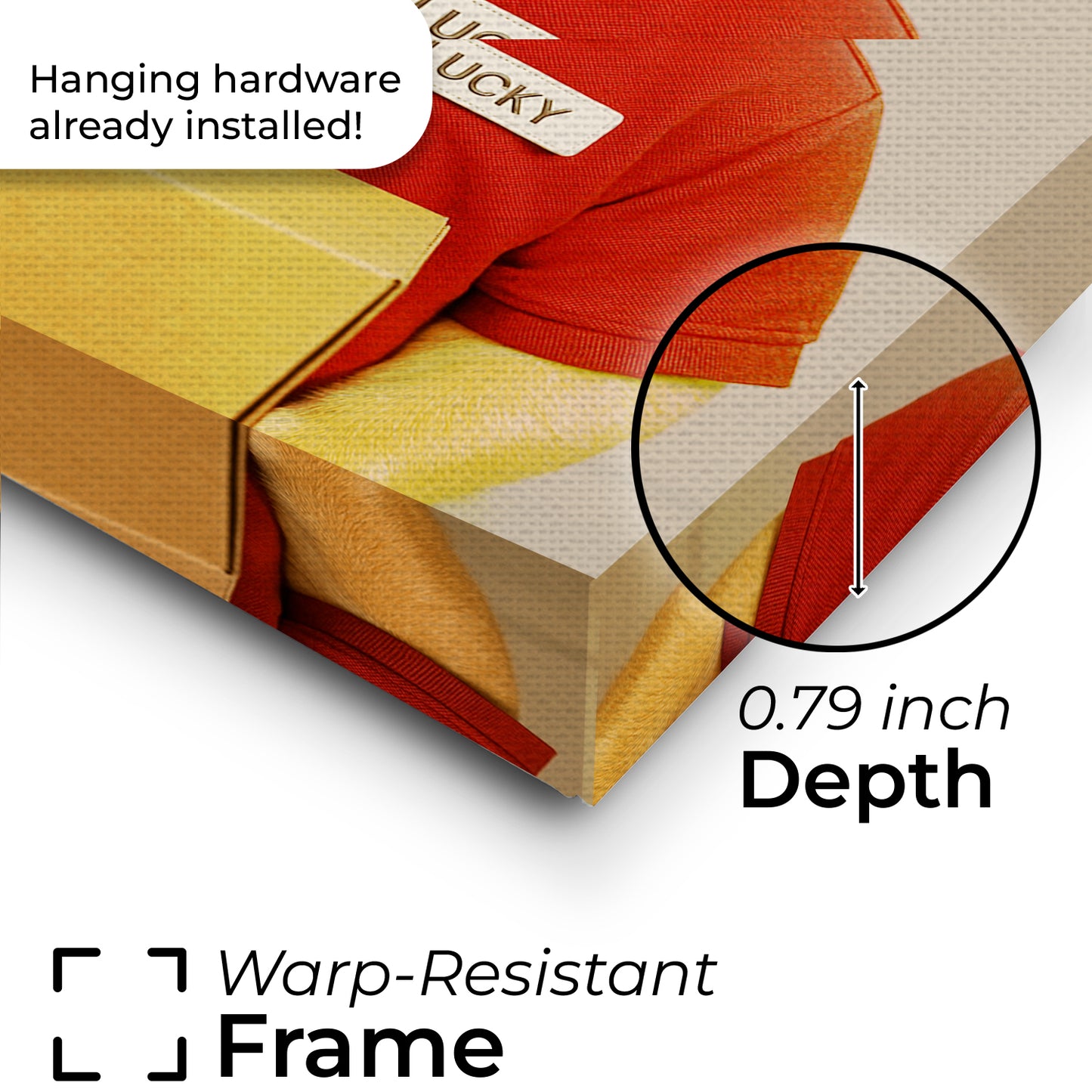 Custom Photo Courier Delivery Canvas Gift For Dog Lovers