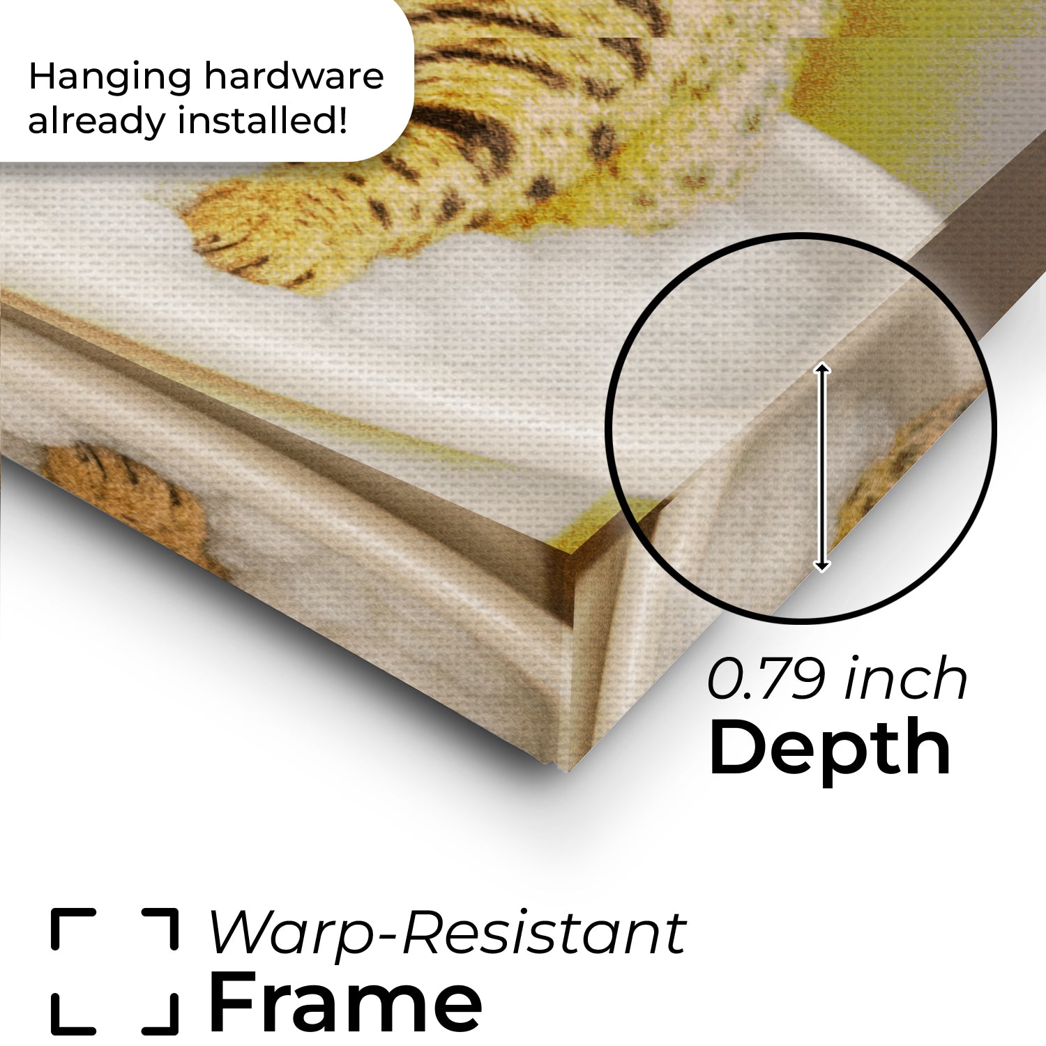 Custom Photo Cat Bathroom Style 27 Canvas Gift For Cat Lovers