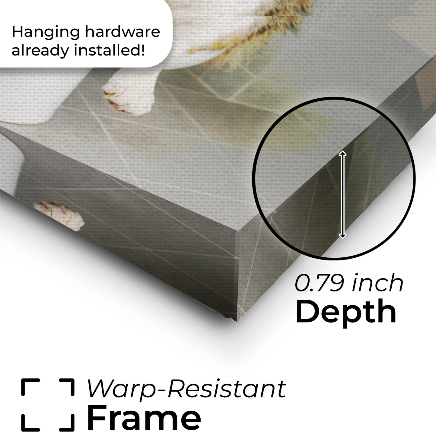 Custom Photo Cat Bathroom Style 4 Canvas Gift For Cat Lovers