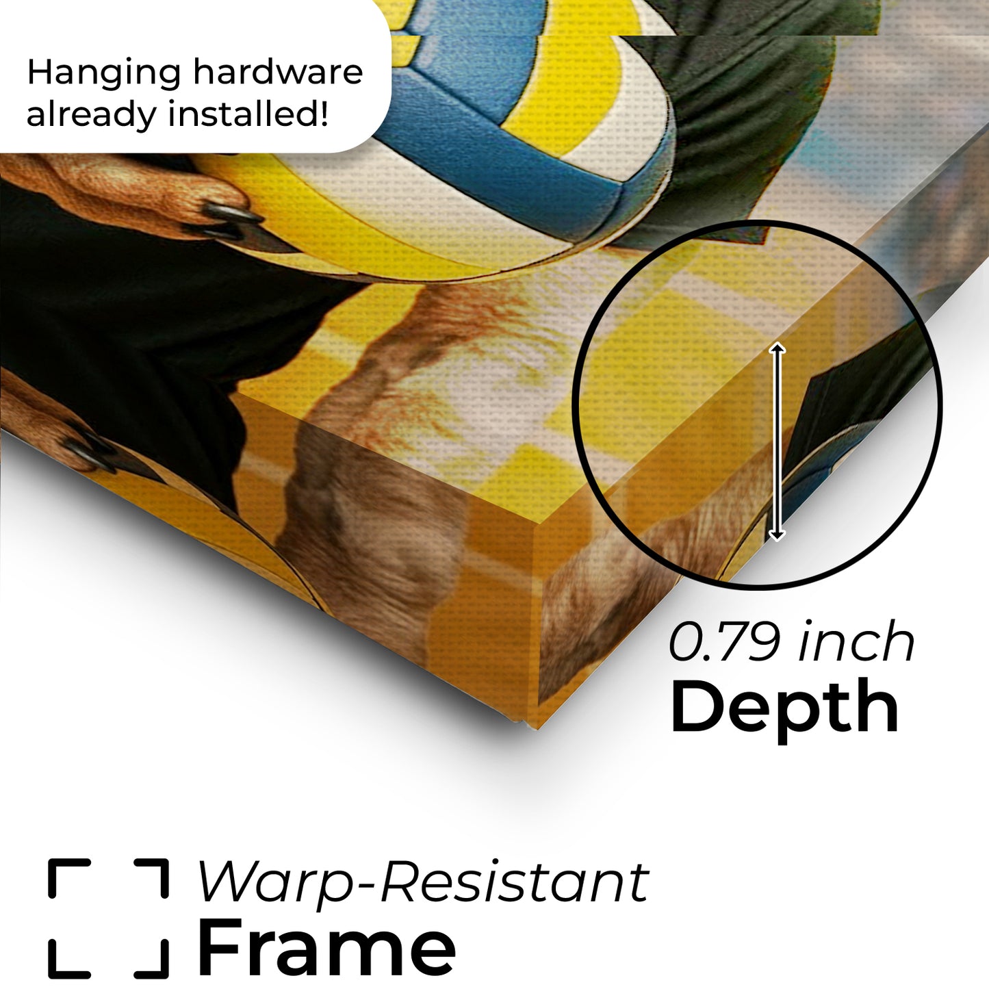 Custom Photo Volleyball Player Cat Canvas Gift For Cat Lovers