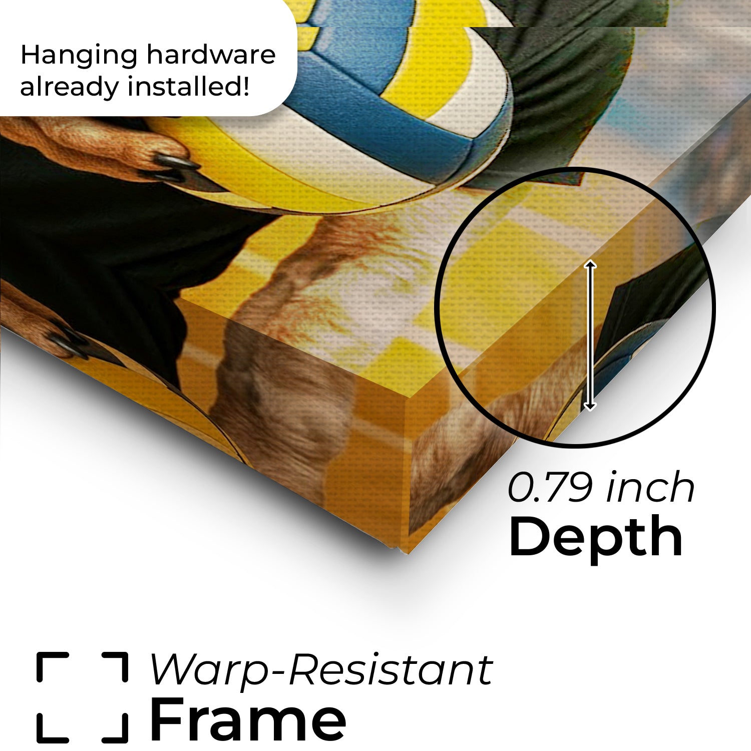 Custom Photo Volleyball Player Cat Canvas Gift For Cat Lovers