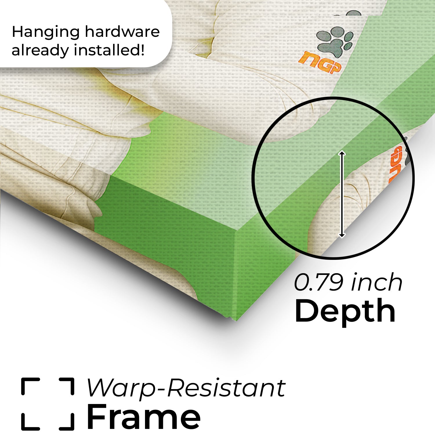 Custom Photo Cricketer Cat Canvas Gift For Cat Lovers