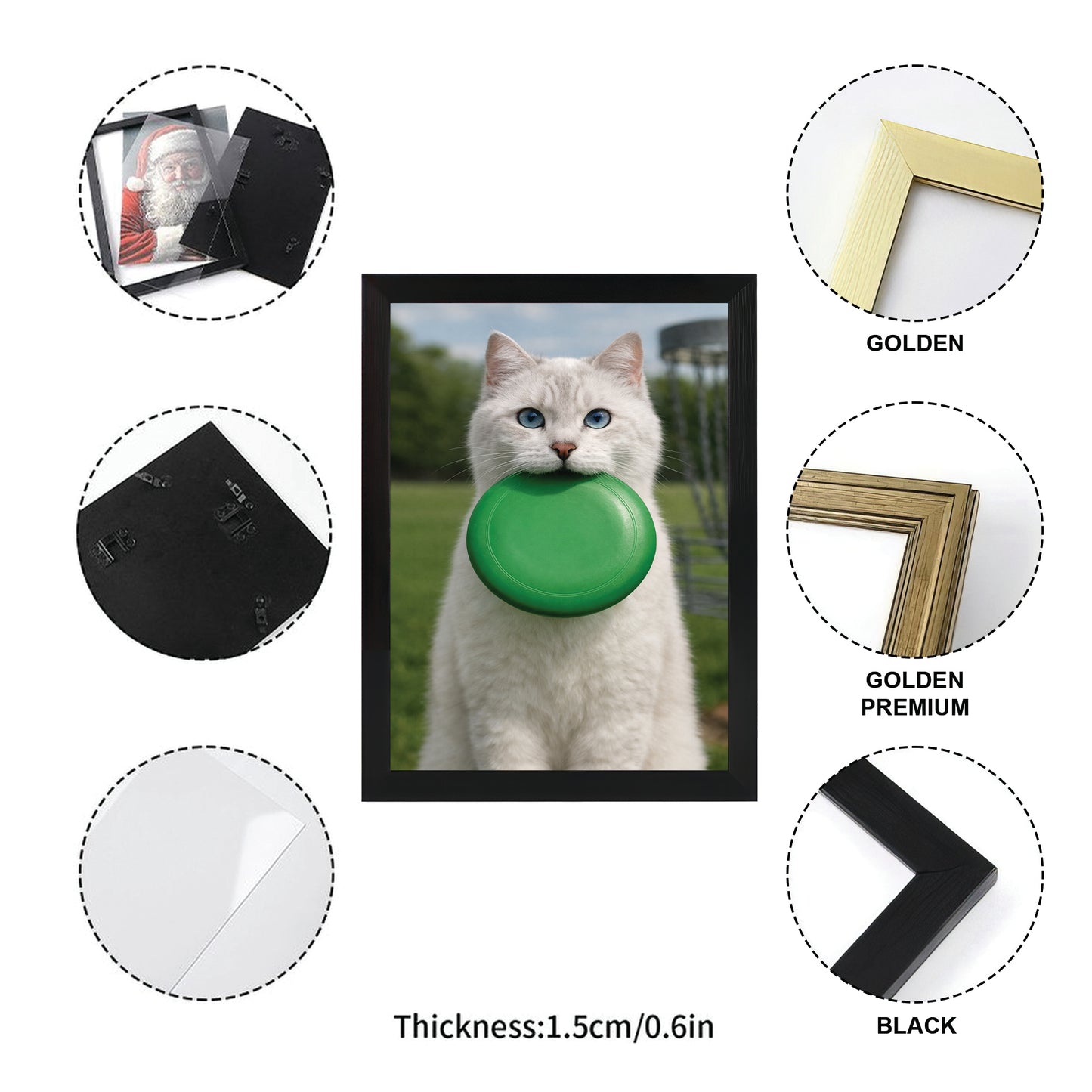 Custom Photo Disc Golf Cat Canvas Framed Wall Art  Gift For Cat Lovers