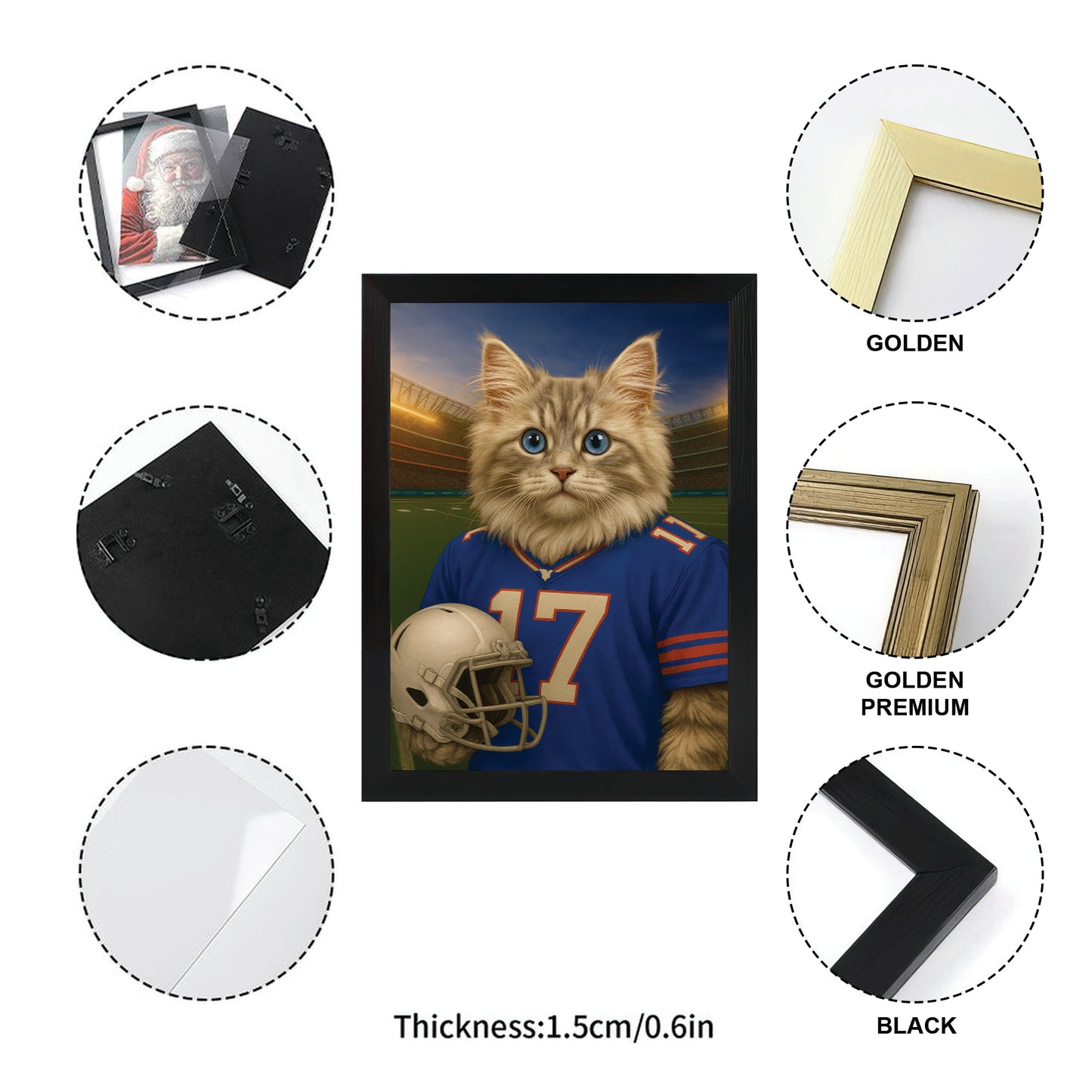 Custom Cat Photo Football Style Canvas Framed Wall Art _ Gift For Cat Lovers