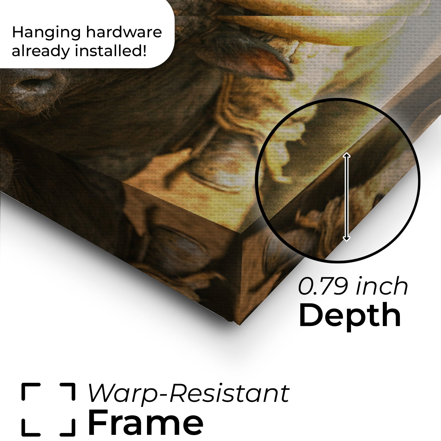 Custom Photo Bull Rider Cowboy Cat Canvas Gift For Cat Lovers