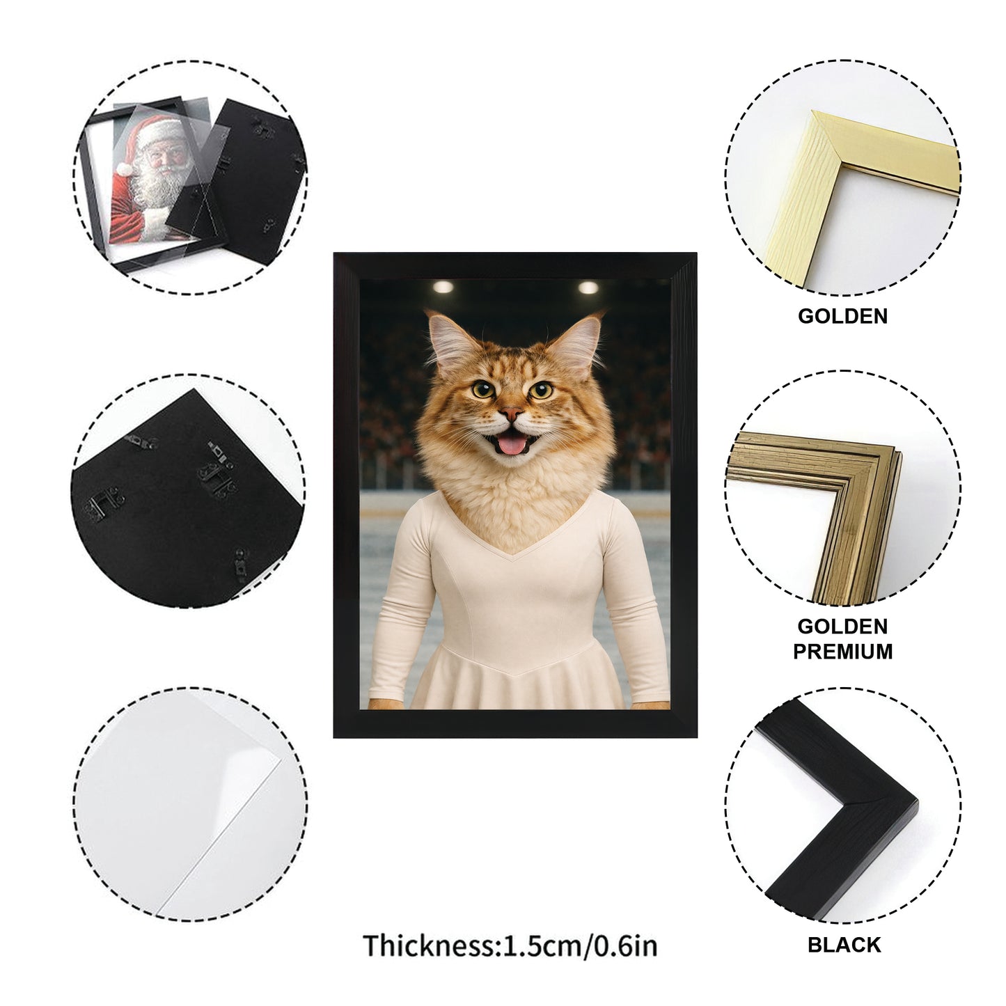 Custom Photo Ice Skater Cat Canvas Framed Wall Art  Gift For Cat Lovers