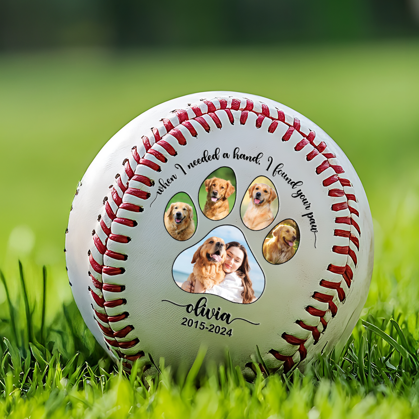 Custom Pet Photo Baseball Gift | Personalized Pet Portraits Baseball | Funny Gift For Pet Lover TNBA022