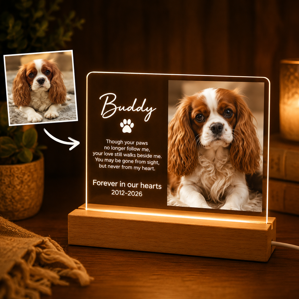 Custom Photo Dog Forever In Our Heart Wooden LED Light | Personalized Dog Photo LED Night Light | Pet Loss Sympathy Gift TOM99