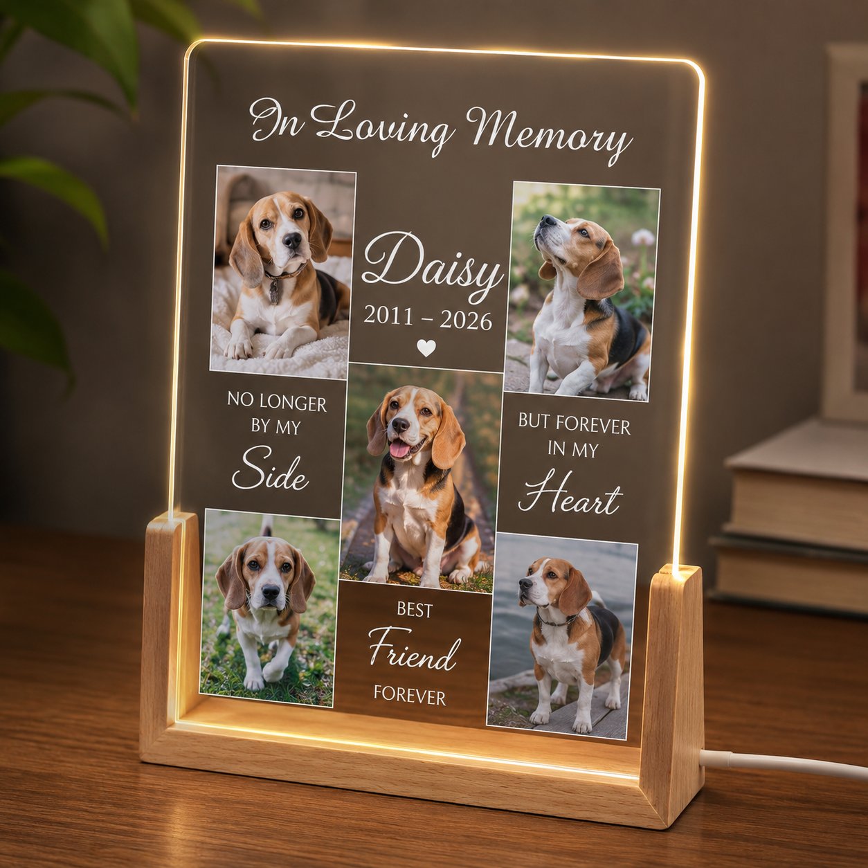 Custom Photo Dog In Loving Memory Wooden LED Light | Personalized Dog Photo LED Night Light | Pet Loss Sympathy Gift TOM99