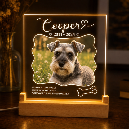 Custom Photo Dog In Loving Memory Wooden LED Light | Personalized Dog Photo LED Night Light | Pet Loss Sympathy Gift TOM99