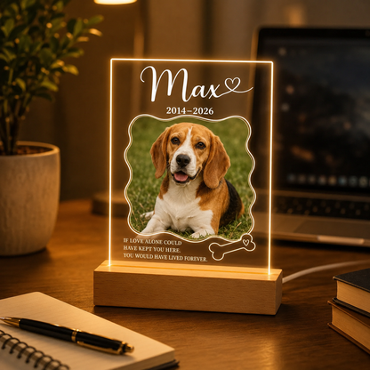 Custom Photo Dog In Loving Memory Wooden LED Light | Personalized Dog Photo LED Night Light | Pet Loss Sympathy Gift TOM99